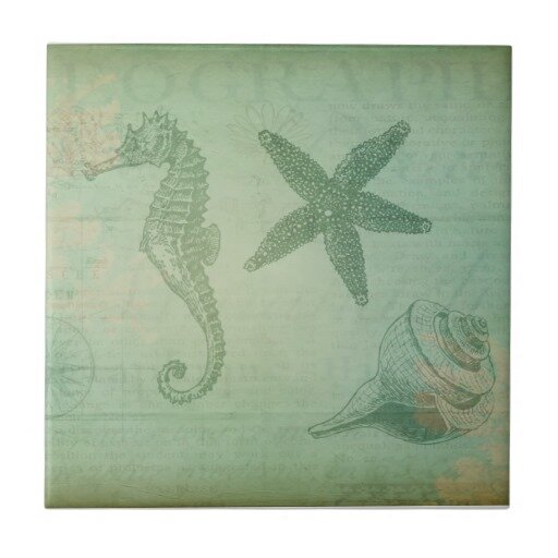 FishHoekProp's profile picture. Community and property information for Fish Hoek