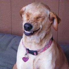 tete2611's profile picture. cree en ti, en lo que quieres...y haz que suceda...