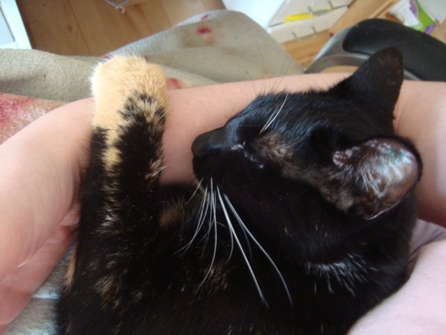 ReaKarlsen's profile picture. test i forbindelse med arbejde - aner ikke om jeg kommer til at bruge det