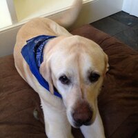 Ryder Finney (@ryderf) 's Twitter Profile
