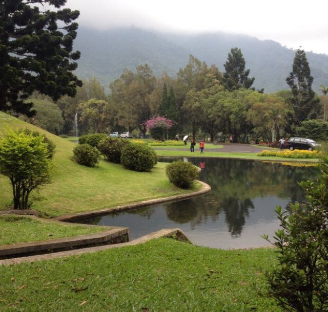 ossama890's profile picture. 