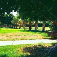صالح الصيعري (@dmnan2009) 's Twitter Profile