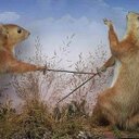 Christopher Busack - @clbusack - Twitter