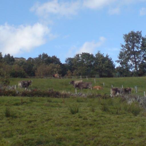 David Garcia Profile