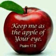 Walking in the Perfect Power, Purpose, Plan, Provision, Prosperity & Promise of God!
