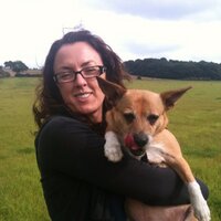 Joan Logan (@joanlogan) 's Twitter Profile