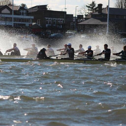 mountainje's profile picture. 