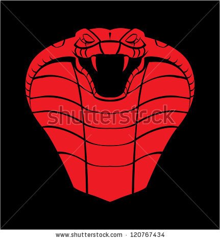 risaexplainsall's profile picture. 