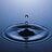 mind_well_being's profile image
