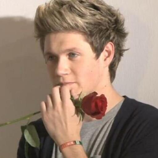 My life: Niall Horan 
                        ♥they get to pick on me♥