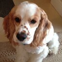 Darius Mehta - @mehta_darius - Twitter