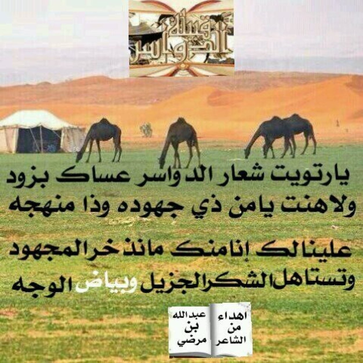 شعراء قبيلة الدواسر Aldowasr Twitter