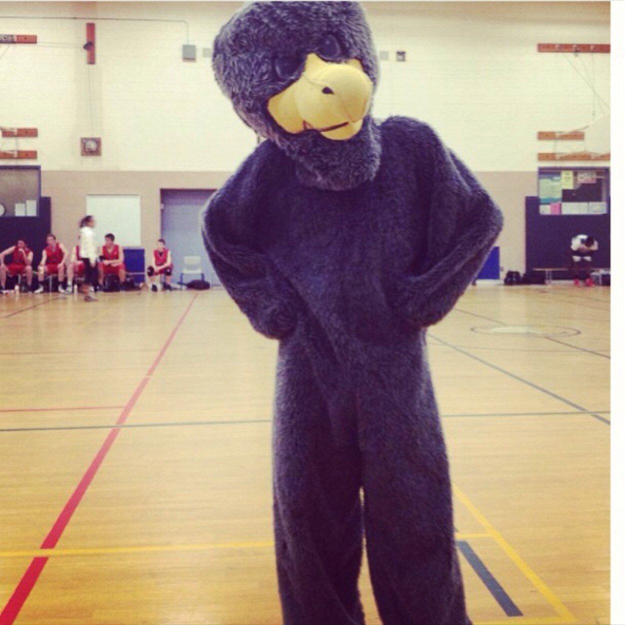 NDHS_COPREZ's profile picture. Notre Dame High School Student Council - Follow to keep updated with ND's events and activities! #EagleNation #Squaksquak #eaglesfly