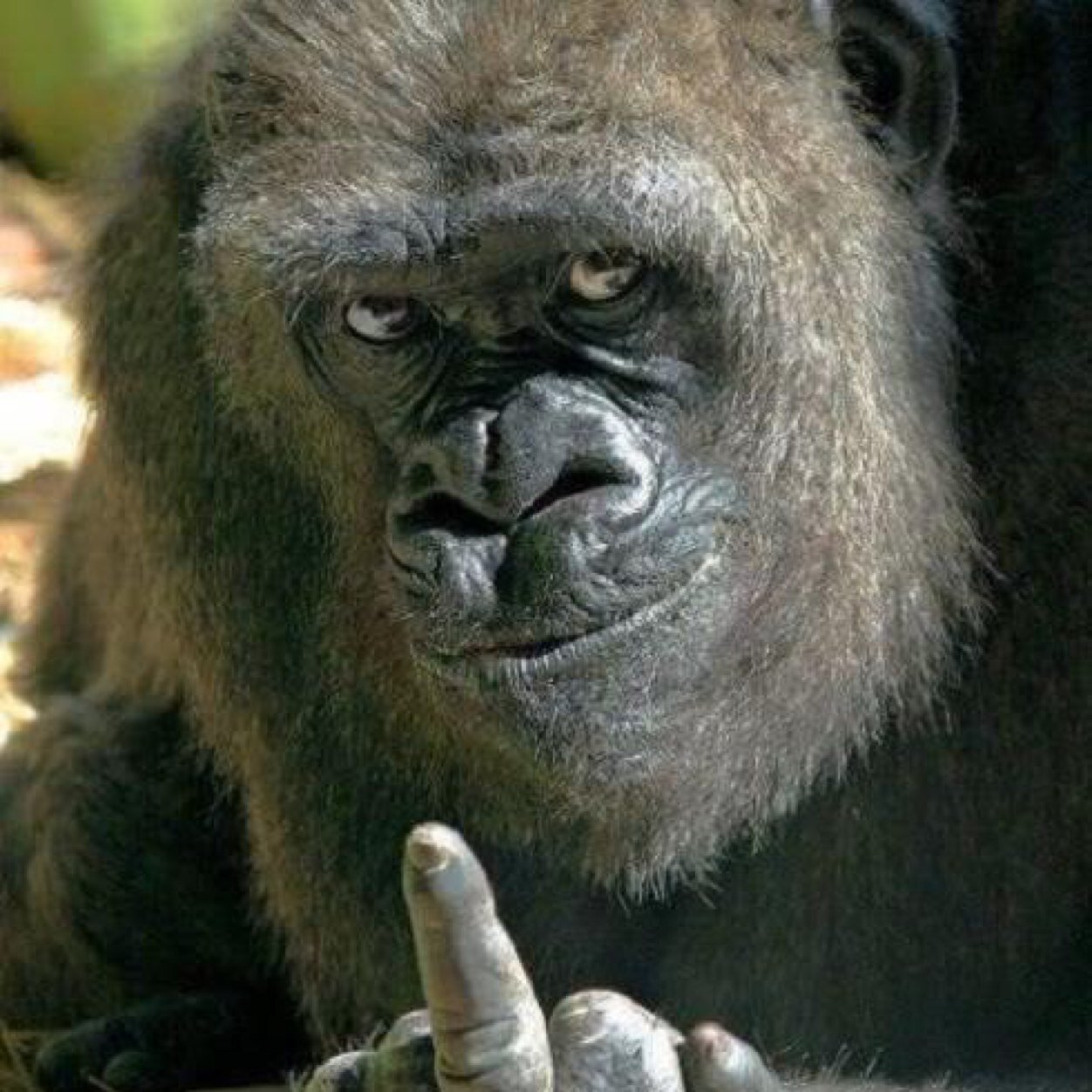 Russell72888202's profile picture. Lives life to the full and is happy!!!