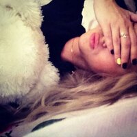 Gisela Oddi (@giselaoddi) 's Twitter Profile