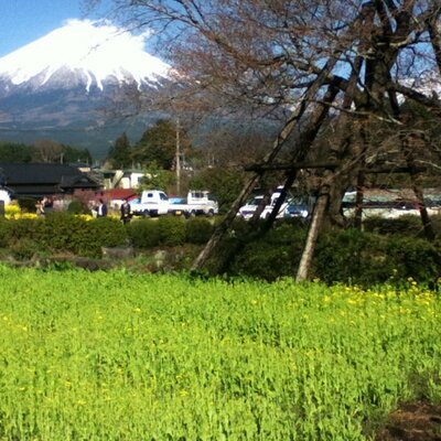 狩宿の下馬桜と白糸の瀧の近所の人 Gebasakura Twitter