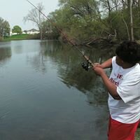 Shawnaq88's profile picture. Helping people think through custom software &amp; innovation!