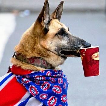 Huge IndyCar and Habs fan.