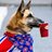 Boomdog15's profile image
