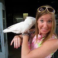 StongeGunter's profile picture. Jurusan sejarah, Universitas Pendidikan Indonesia