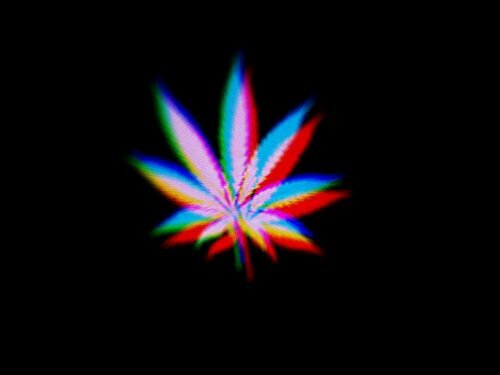 #marijuana #weed #dope #canabis