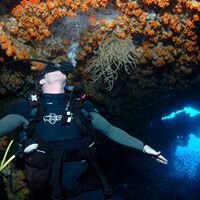 GarryPeakevix's profile picture. Authorised Partner of BT+ ICT Partner of the year 2013, Supporting resellers providing BT WAN &amp; Cloud Supporting Solutions,