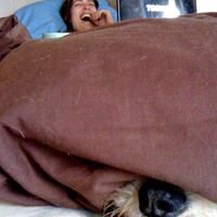 ShouseStern1's profile picture. Network that powers Taggleme, Taggle My Biz, SMN Web Services, The Taggleme TV Network, SMN Radio, SMN Shopette, and Gospel Via SMN