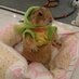 ยุดยีี ตุ๊ดดีี (@pungpungbungbun) Twitter profile photo