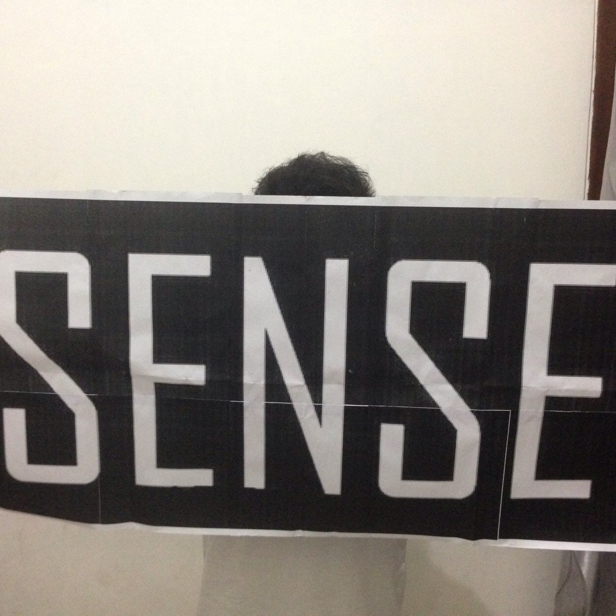 sensesense13's profile picture. Street Art