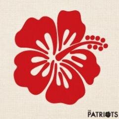 The Patriots are a group of people from different walks of life, age, race and religion that comes together to form a community of peace and tolerance.