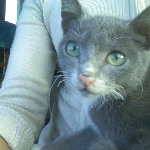 ninam_055's profile picture. 