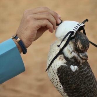 app_84433's profile picture. مَ ككاان قصصديء اعششقهہ بسء.              نظرھہ عيونہ يَ نااس آجبرتنيء ♥ lnt:rashed66447