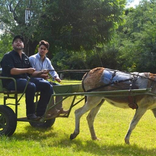 laloplatt's profile picture. 