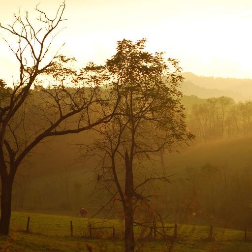 West Virginia is a true beauty most don't know about. Her dramatic vistas are breathtaking, but getting there is just as stunning. #BEWestVirginia