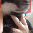 Toby Bowman - @HighlyEntropic - Twitter