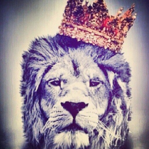 Its Good to be King or an Ill Pharaoh. 
Charismatic Enigma
Super Dame to the Rescue.