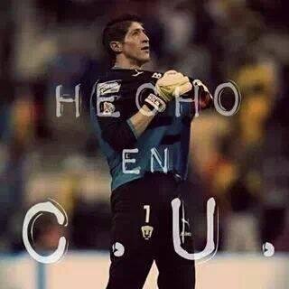 AMO A PUMAS Y A TOSA SU GENTE  -U-