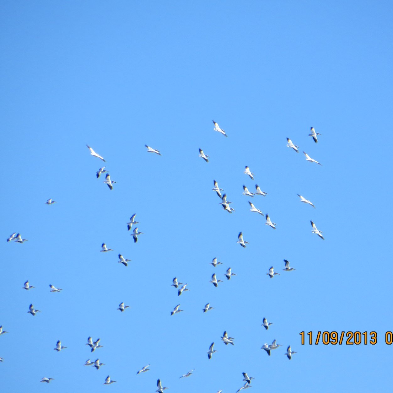 70ehaney's profile picture. 