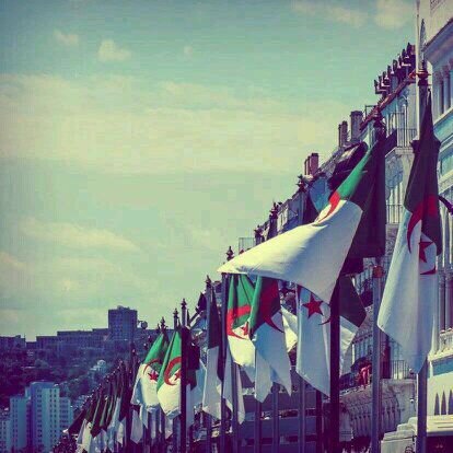 ~Li nsak y  kaweed ~ #Djazair#Kabylifooornie#TahiaBladi#TeamDz
