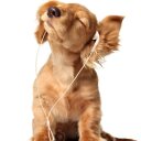 brenda nicole allred - @brendanicoleall - Twitter