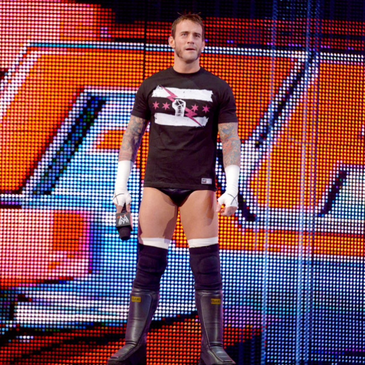 _Truepunker's profile picture. Support CM Punk and AJ Lee