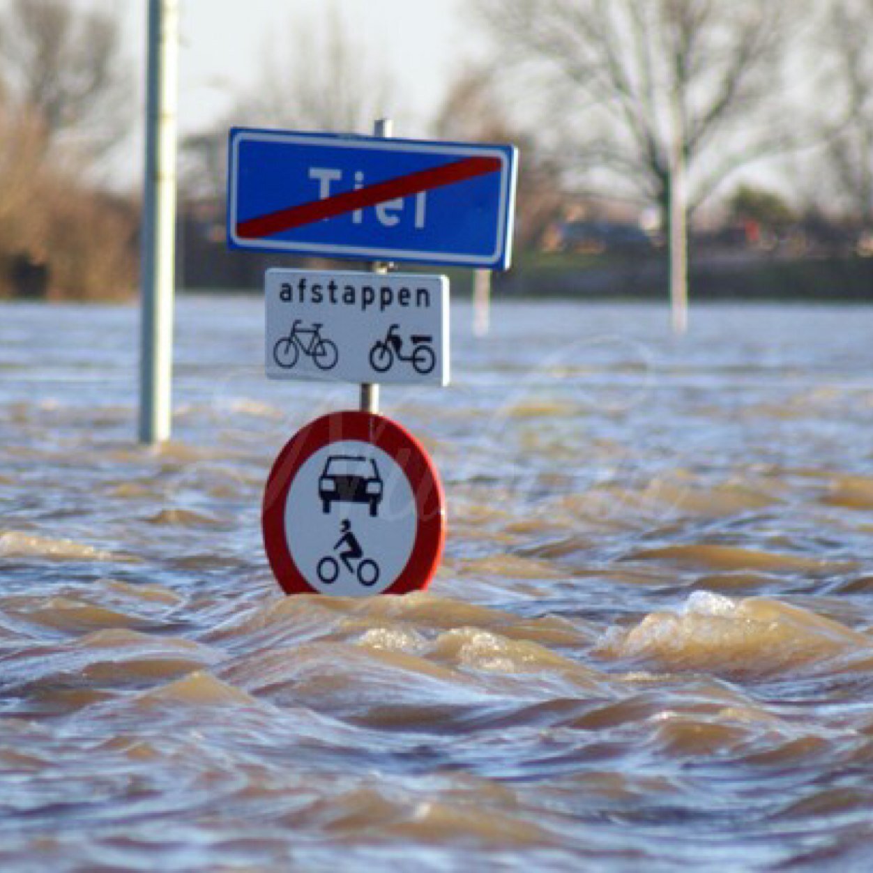 Notaris73Tiel's profile picture. 