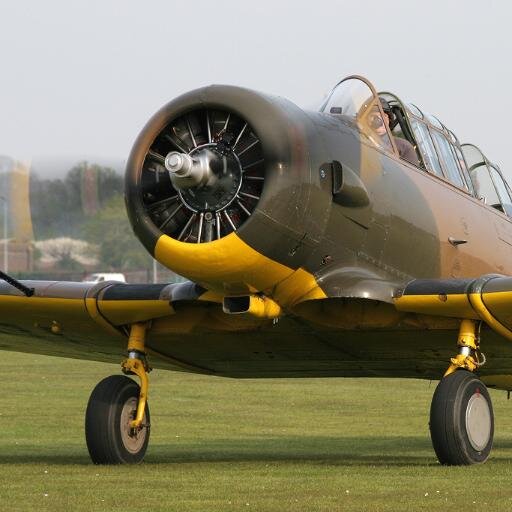Display pilot and owner/operator of Ryan PT-22, T28 Fennec, Harvard IIb and Junkers CL1