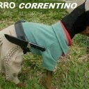 Liliana Jara (@05e9b949158d47e) Twitter