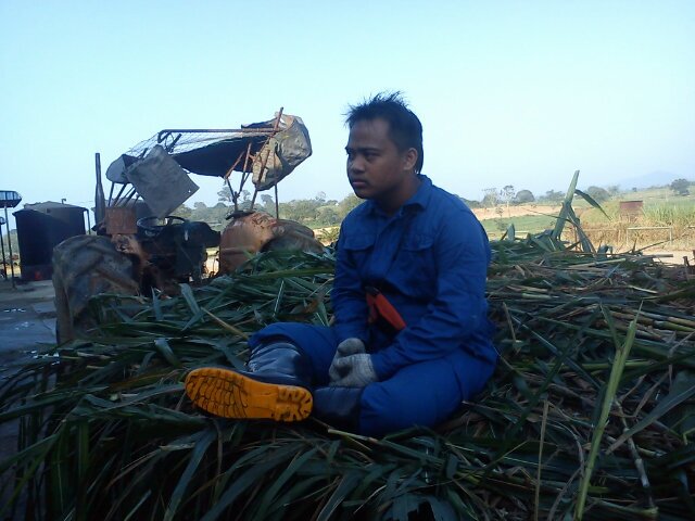 bolok bong