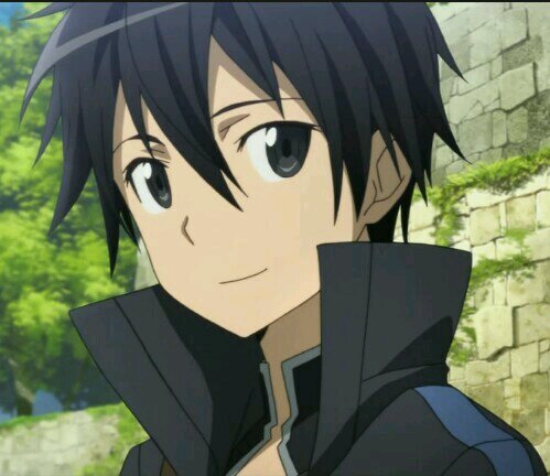 Hi my name is Kirito. I'm better known as the black swordsman, I use a rare dual wielding technique. I'm single and looking.