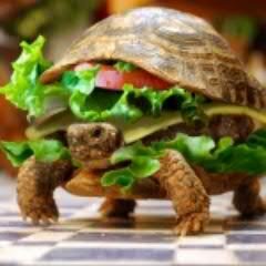 ya_b_kupil's profile picture. 