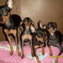 joan go - @chelseachloesky - Twitter