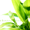 Dr. Cherryさんのプロフィール画像
