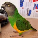 Ian (@11ir57) Twitter